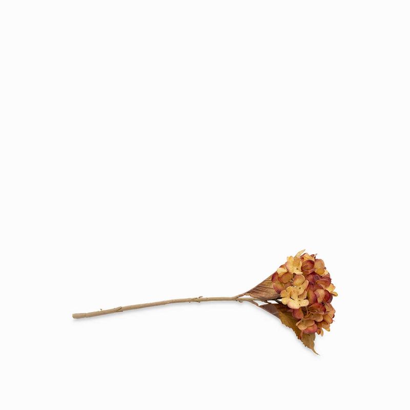 Hortensia-cafe-43cm