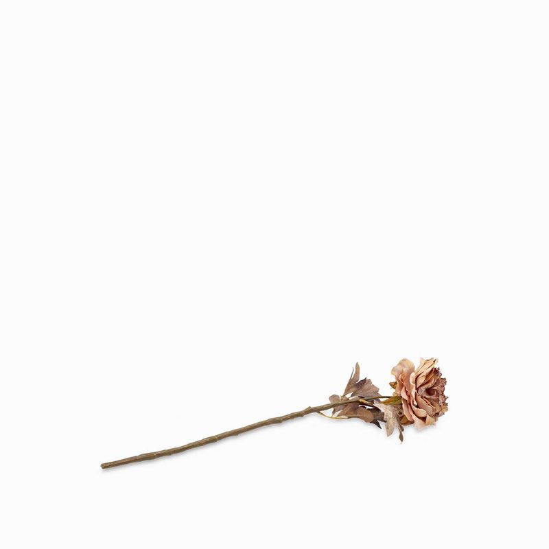 Peonia-crema-62cm