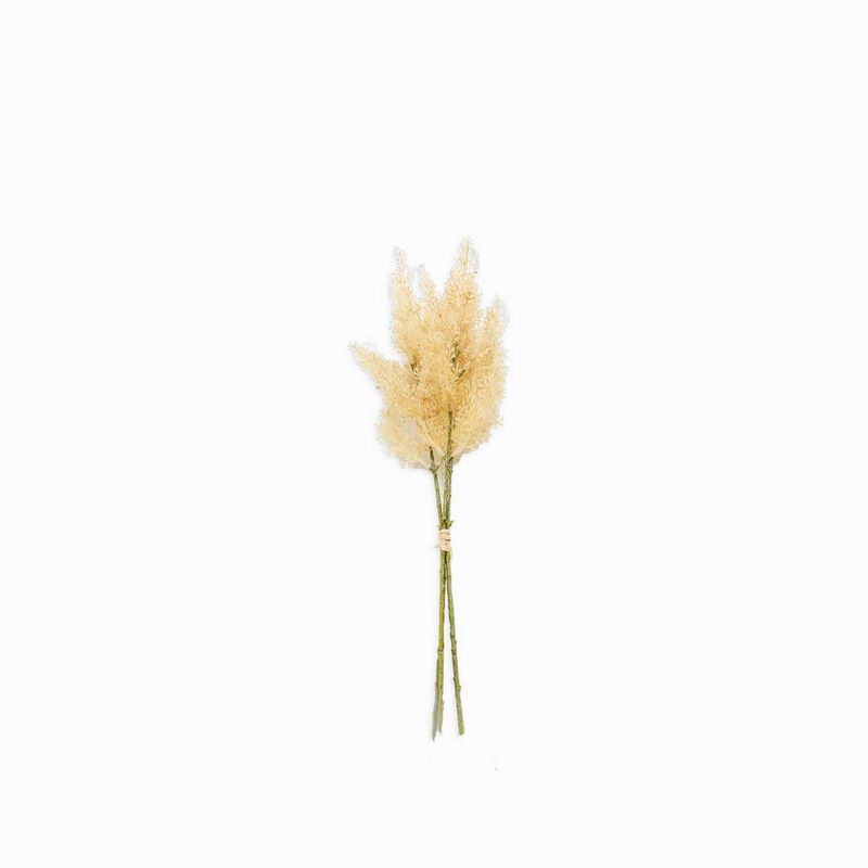 Flor-de-Astibile-naranja