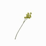 Flor-pino-silvestre-verde