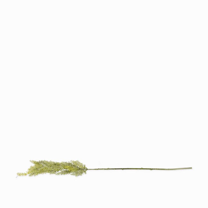 Junco-verde-74cm
