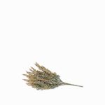 Arbusto-pino-33-cm