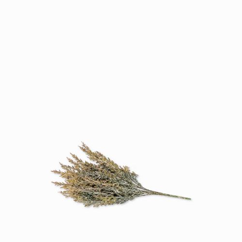Arbusto pino 33 cm