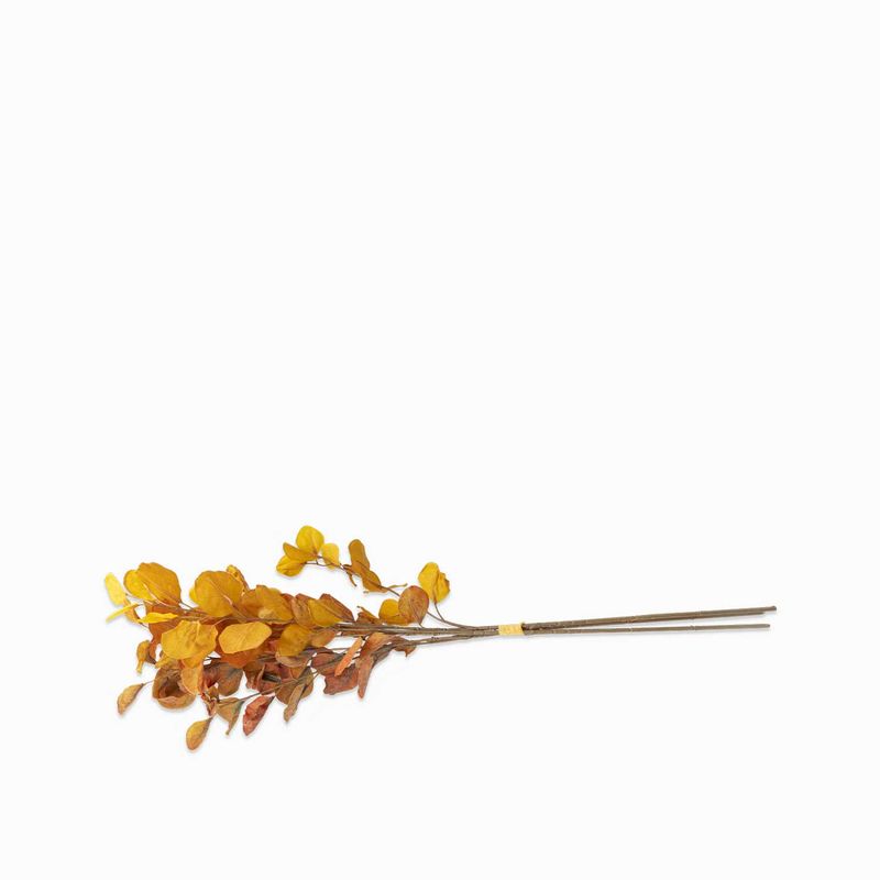 Racimo-eucalipto-amarillo-74cm