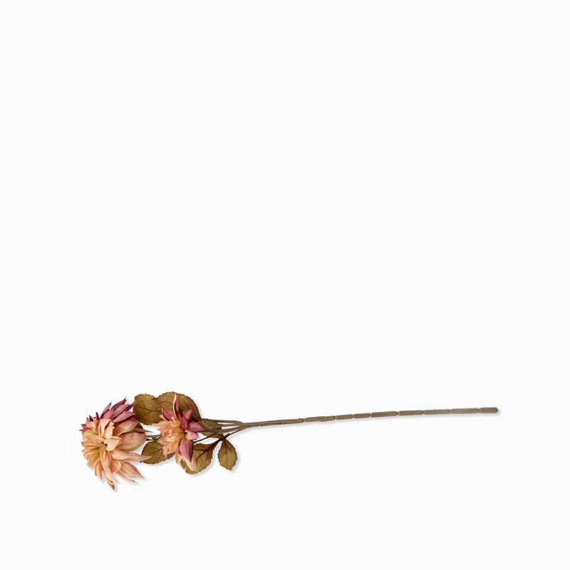 Dalia-rosada