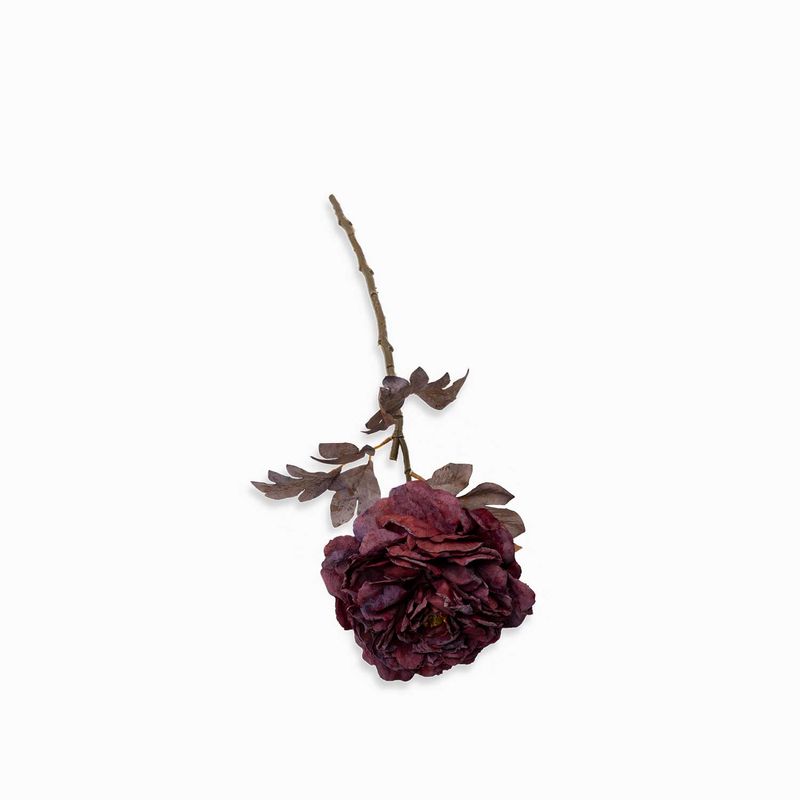 Peonia-borgoña-62cm