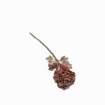 Peonia-cafe-62cm