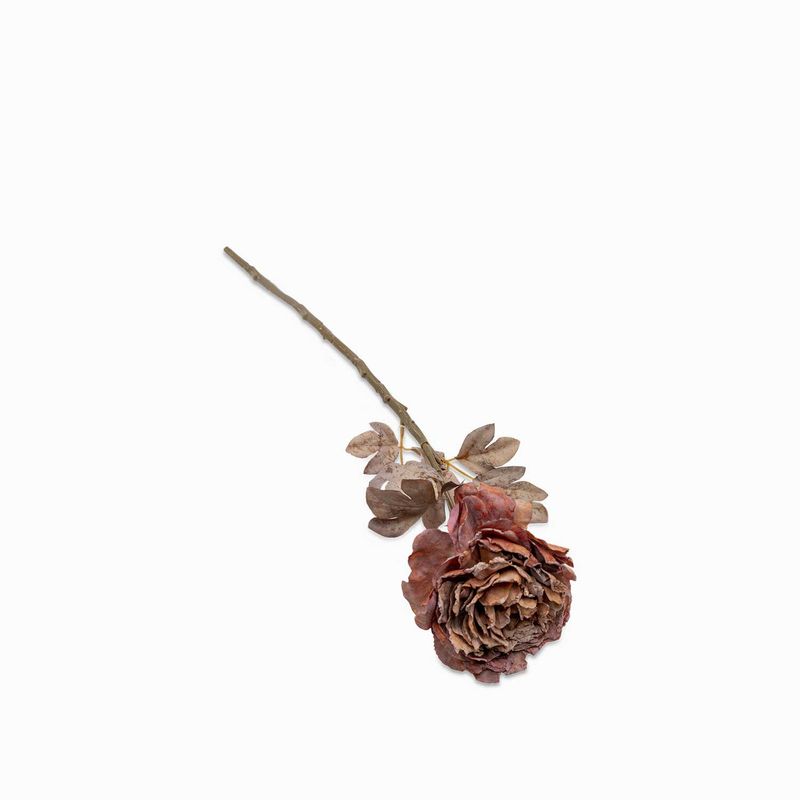 Peonia-cafe-62cm