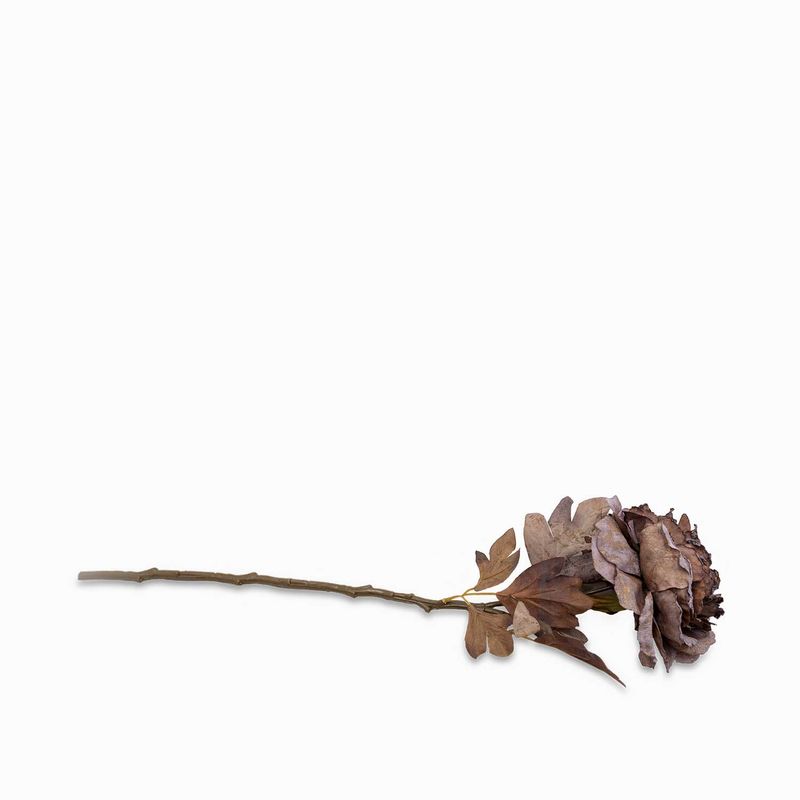 Peonia-morada-62cm