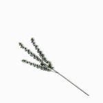 Rama-Eucalipto-76-cm