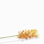 Orquidea-Lava