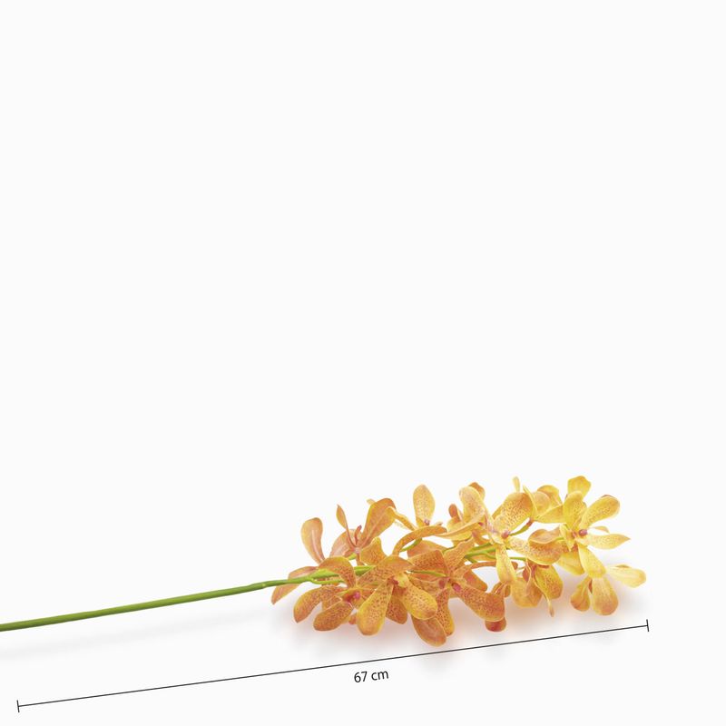 Orquidea-Lava