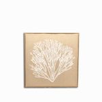 Cuadro-marino-coral-62x62