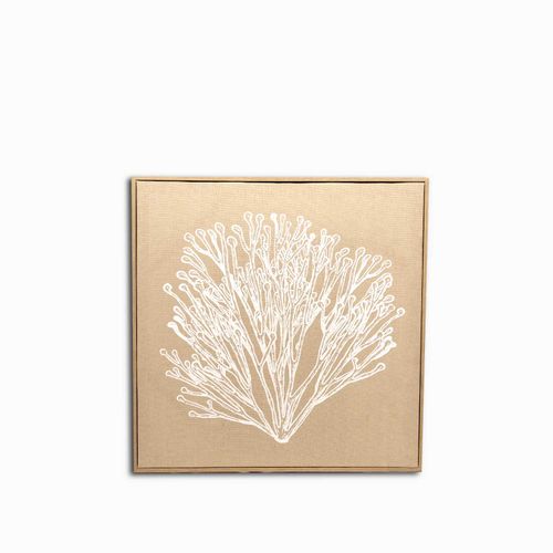 Cuadro marino coral 62x62