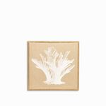 Cuadro-marino-coral-Elisela-42x42