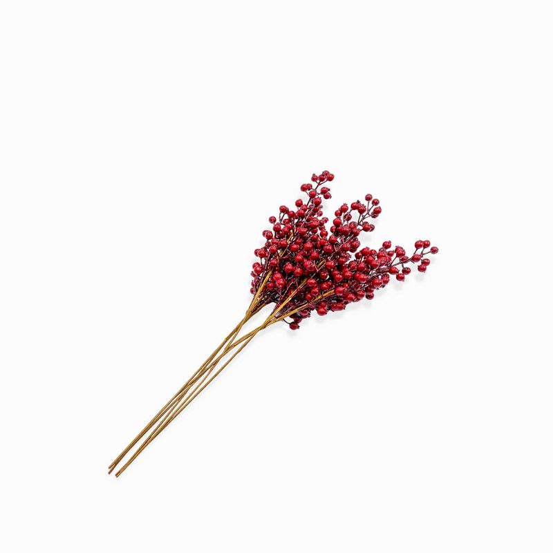 Bouquet-berry-rojo