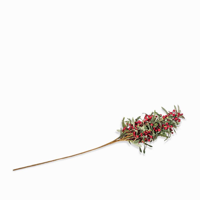 Adorno-berry-oliva