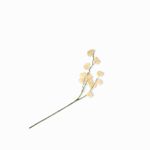 Flor-pino-silvestre-naranja