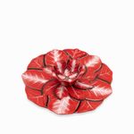 Chip-and-dip-Poinsettia