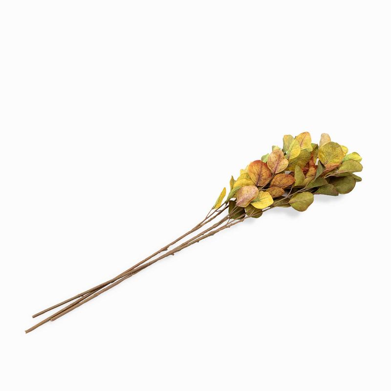 Racimo-eucalipto-verde-74cm