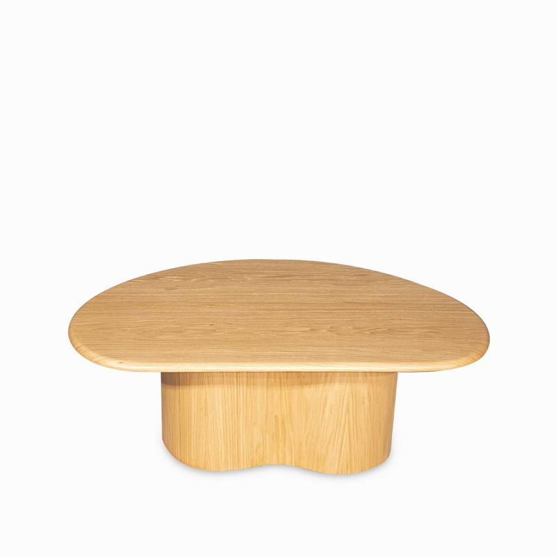 Mesa-de-centro-Vayle-35x107x72