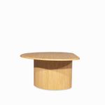 Mesa-de-centro-Vayle-35x107x72