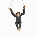 Chimpance-culumpio