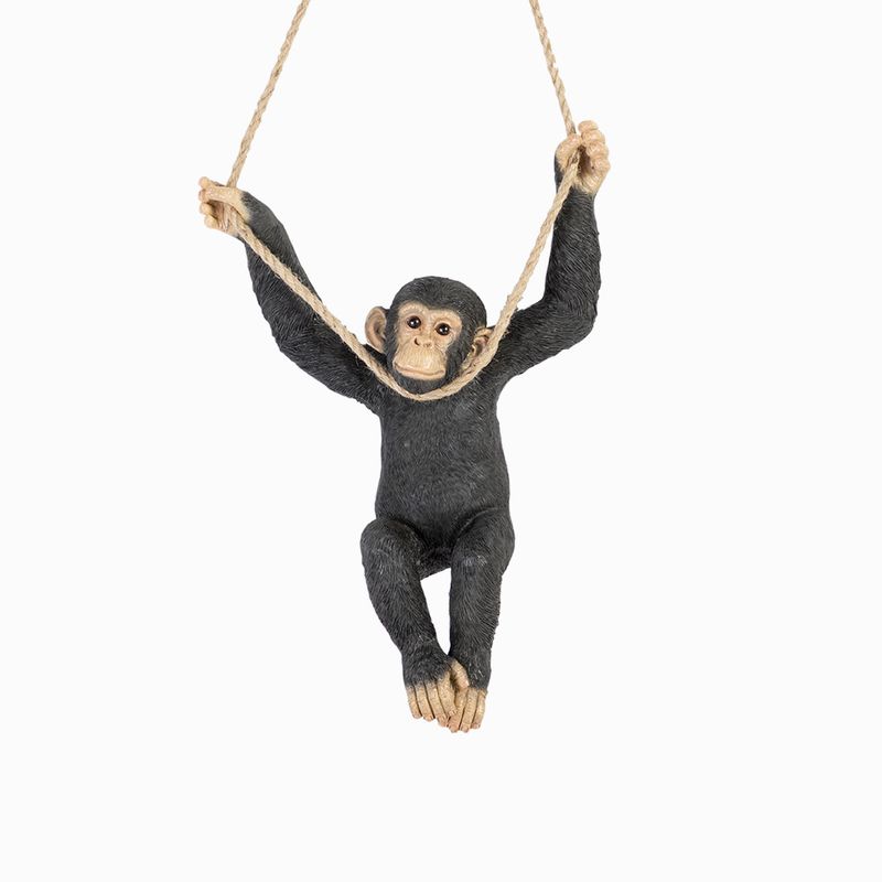 Chimpance-culumpio