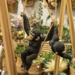 Chimpance-culumpio