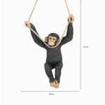 Chimpance-culumpio