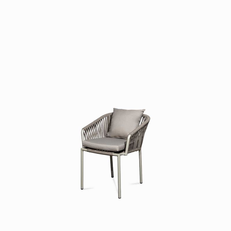 Silla-lyon