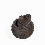Esfera-acanto-cafe