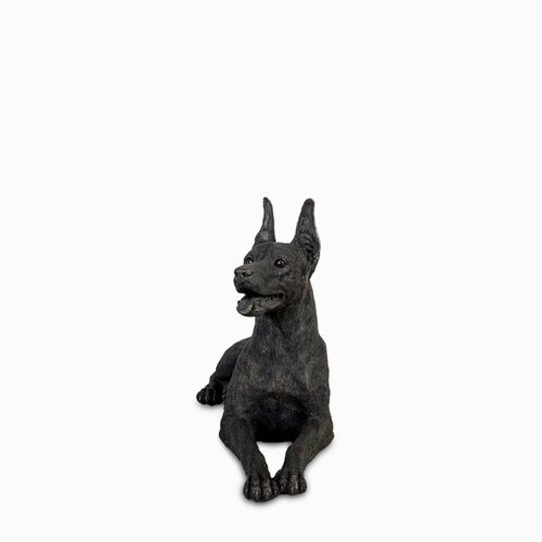 Perro Dóberman
