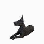Perro-doberman