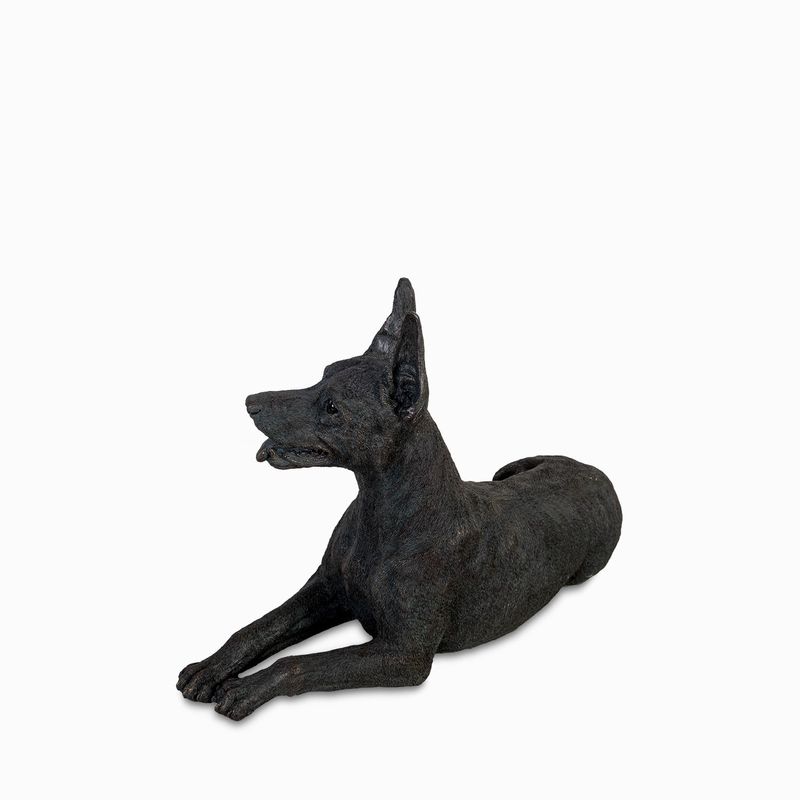 Perro-doberman