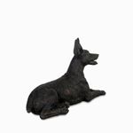 Perro-doberman