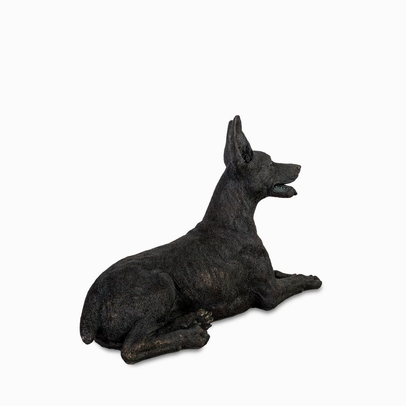 Perro-doberman