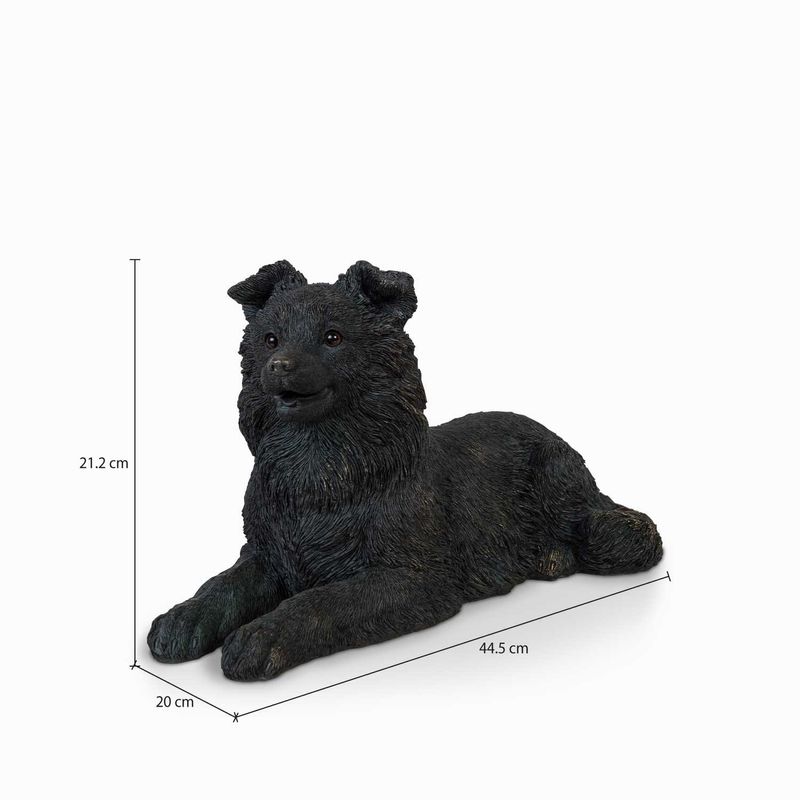 Perro-Border