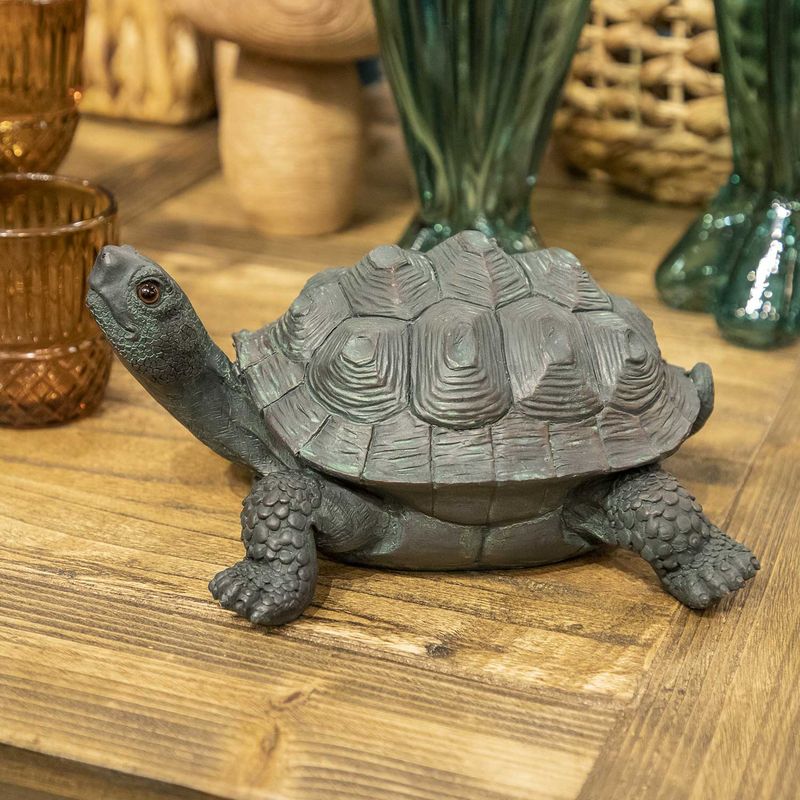 Tortuga