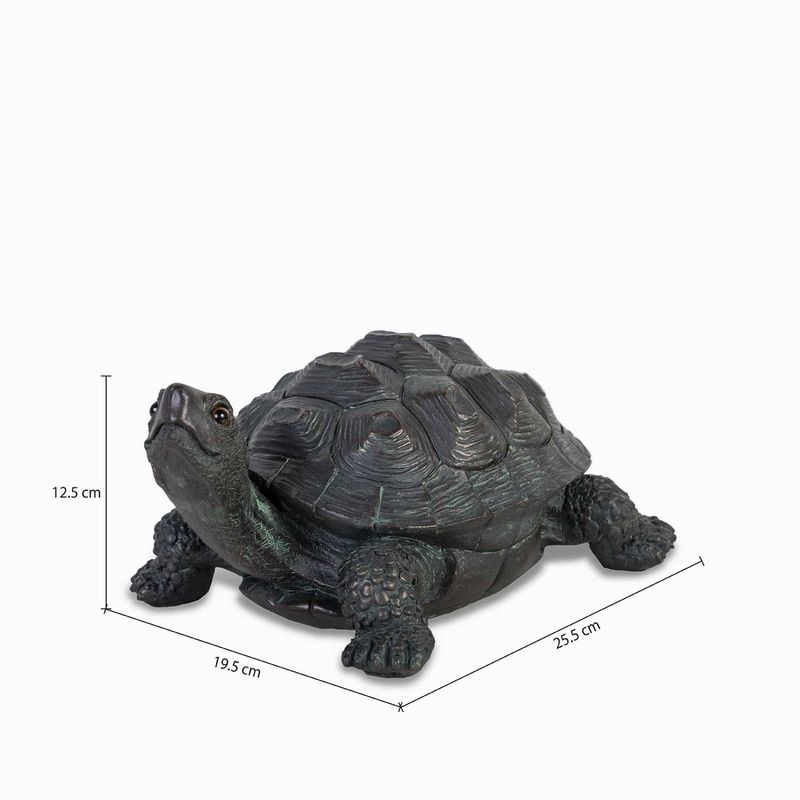 Tortuga
