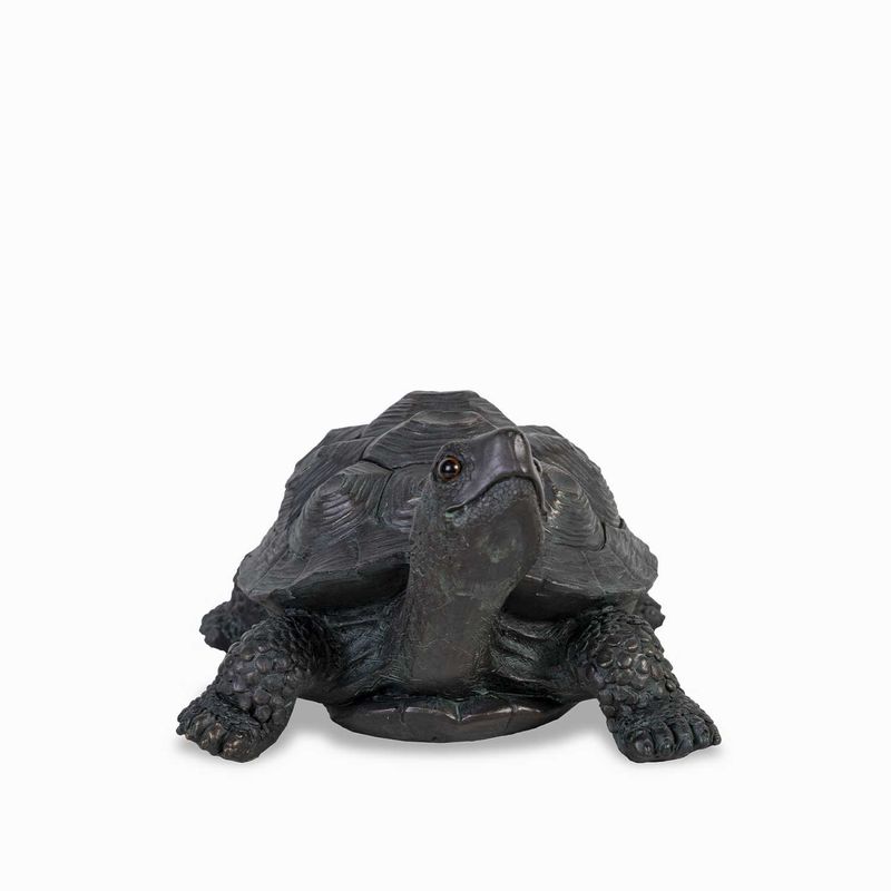 Tortuga