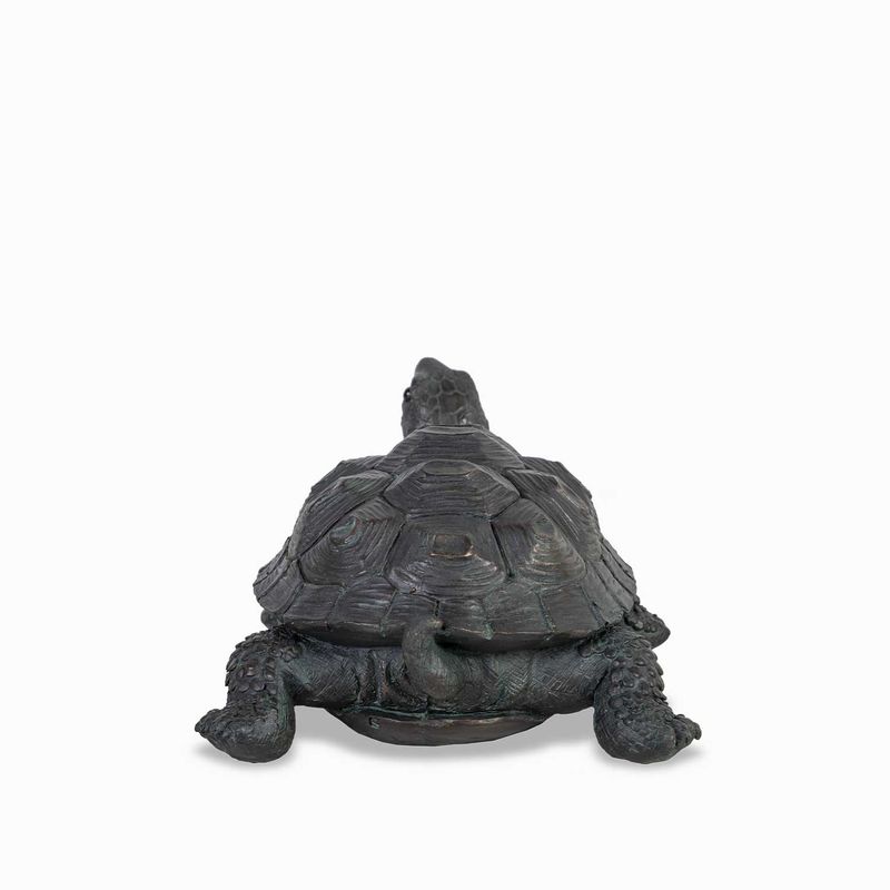 Tortuga