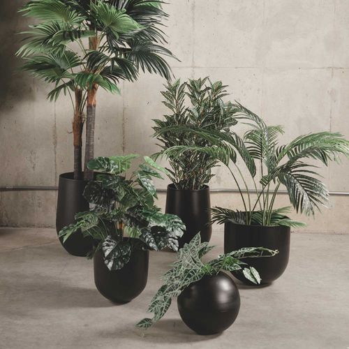 Matera Castino negra 38 x 38 cm