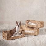Cama-para-mascotas-rectangular-en-jacinto-de-agua-l-70x36x24cm