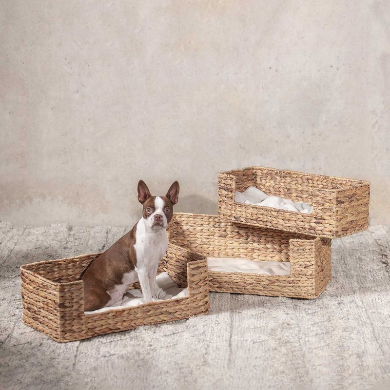 Cama-para-mascotas-rectangular-en-jacinto-de-agua-l-70x36x24cm