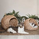 Cama-para-mascotas-en-jacinto-de-agua-45x45x32cm