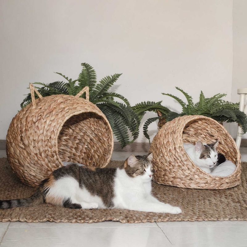Cama-para-mascotas-en-jacinto-de-agua-45x45x32cm