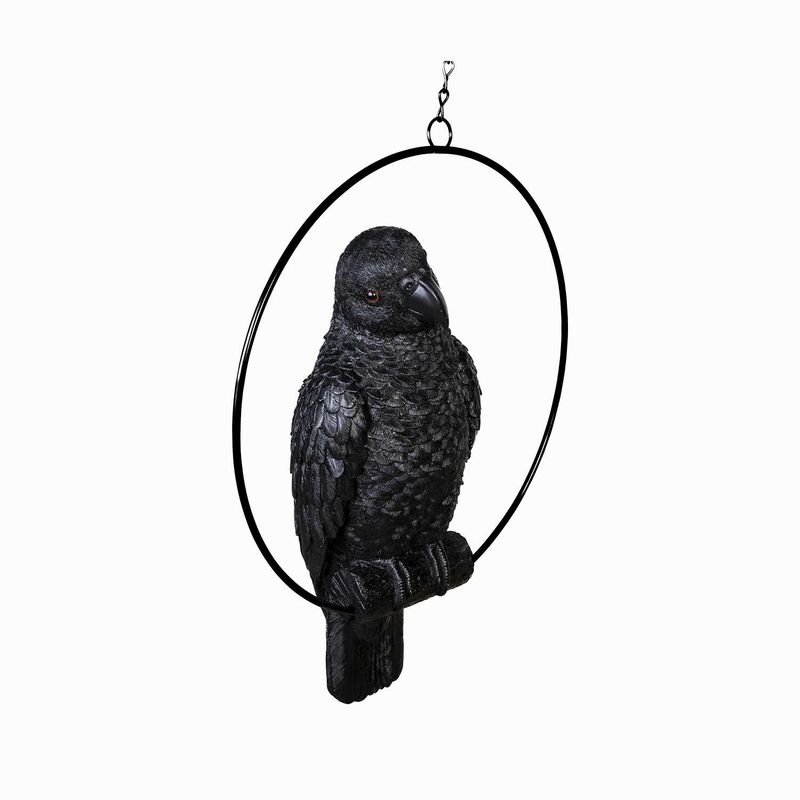 Loro-negro