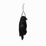 Loro-negro