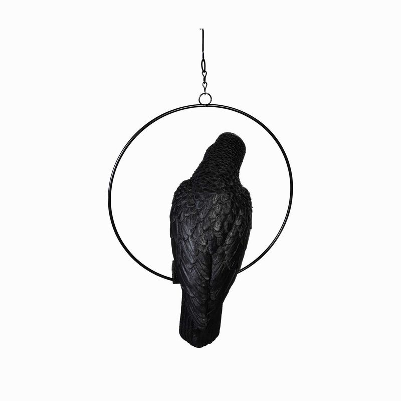 Loro-negro